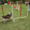 agility 2011-10-30